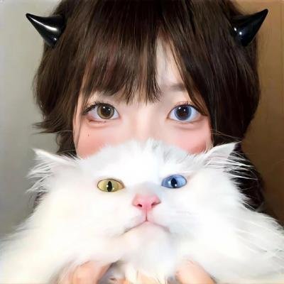 营地藏身处